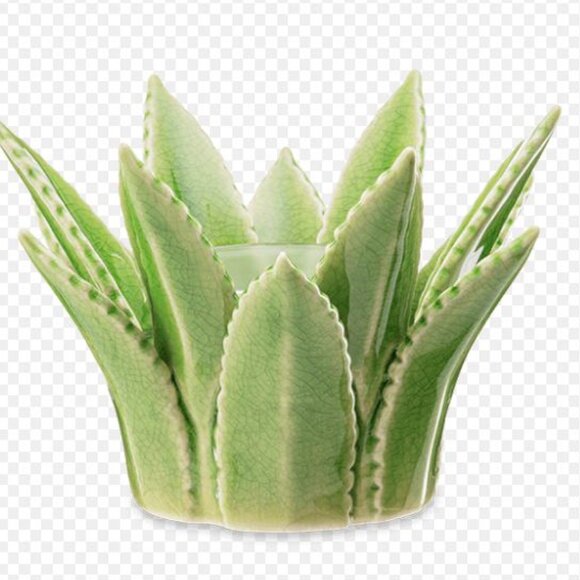 Scentsy Aloe Vera Wax Warmer - Picture 2 of 4